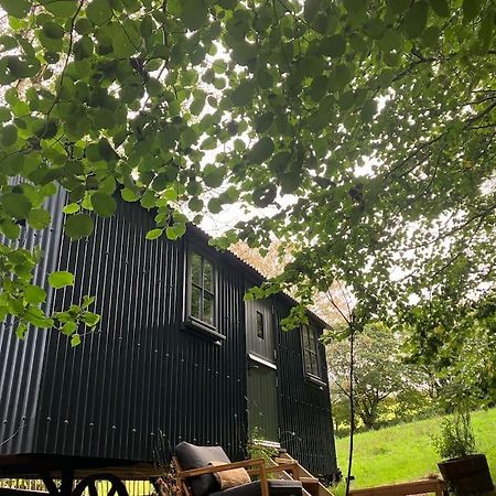 Cornwall Woodland Shepherd'S Hut Deirdres Hut Bodmin Zewnętrze zdjęcie