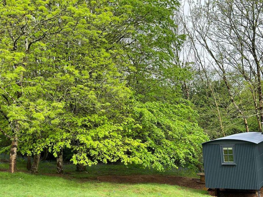 Cornwall Woodland Shepherd'S Hut Deirdres Hut Bodmin Zewnętrze zdjęcie