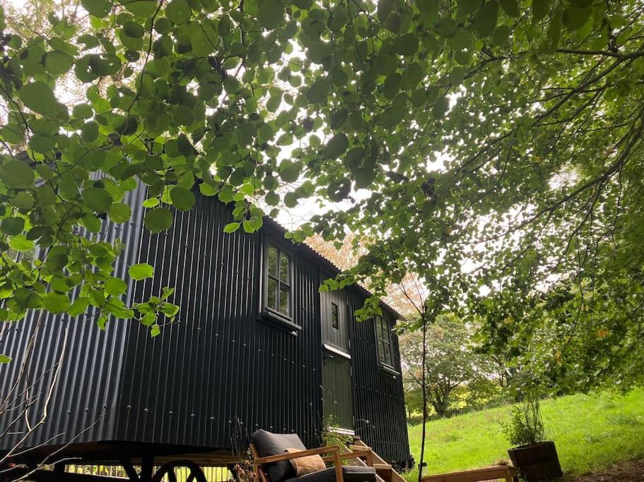 Cornwall Woodland Shepherd'S Hut Deirdres Hut Bodmin Zewnętrze zdjęcie