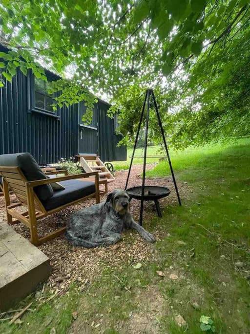 Cornwall Woodland Shepherd'S Hut Deirdres Hut Bodmin Zewnętrze zdjęcie