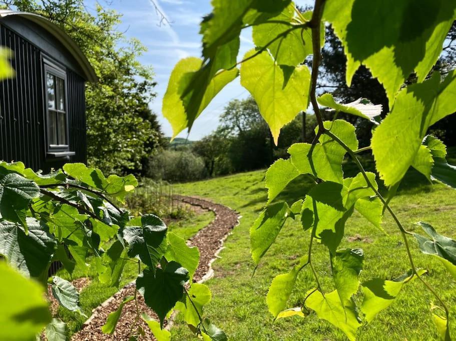 Cornwall Woodland Shepherd'S Hut Deirdres Hut Bodmin Zewnętrze zdjęcie