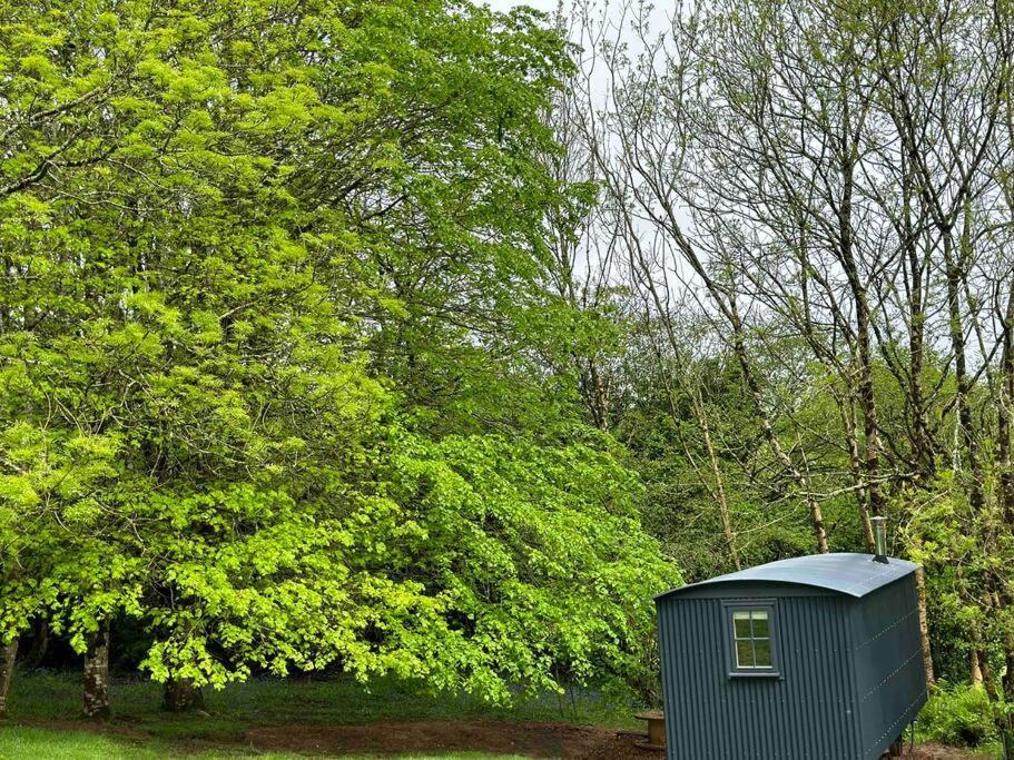 Cornwall Woodland Shepherd'S Hut Deirdres Hut Bodmin Zewnętrze zdjęcie